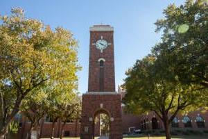 The clocktower standing tall with lots of greenery around.